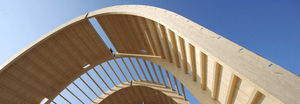 computer-aided engineering software / for wooden structures / 2D