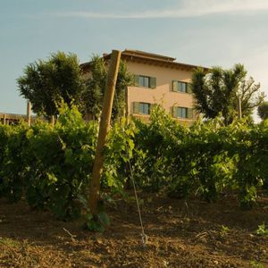 prefab building / for hotels / wooden / wooden frame
