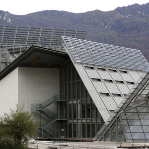 zinc-titanium roofing / ribbed / standing seam