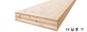 engineered structural panel / building