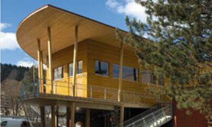 wooden structural panel / solid / engineered