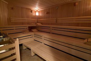 Finnish sauna / home