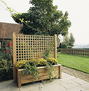 green wall trellis / pine