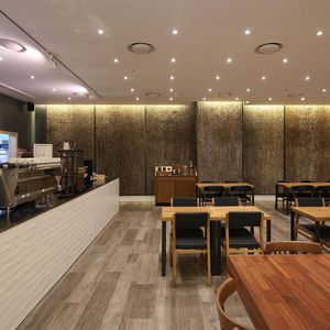 poplar decorative panel / for interior / for exterior fittings / textured