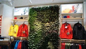 indoor green wall
