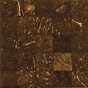 indoor mosaic tile / wall / coconut / geometric