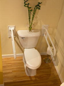 free-standing toilet / monobloc / ceramic / for the disabled
