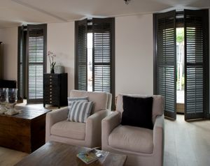 swing shutters / wooden / door