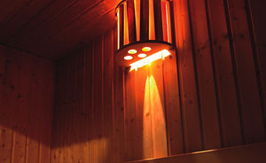 professional use sauna / for indoor use