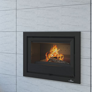 wood-burning fireplace insert