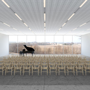 plaster suspended ceiling / tile / acoustic
