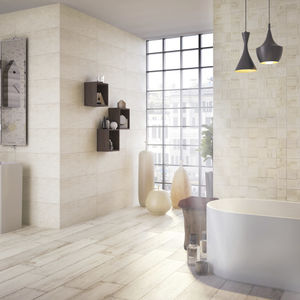 indoor tile / wall / floor / ceramic