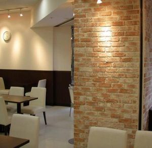 clay cladding brick / interior