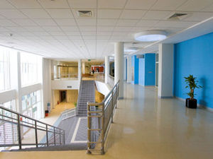 PVC flooring / commercial / high-gloss / marble look