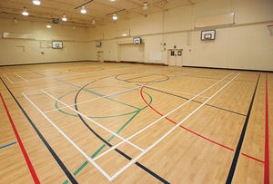 vinyl sports flooring / for indoor use / for multipurpose gyms