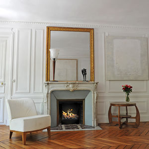 bioethanol fireplace insert / central