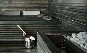 Finnish sauna / commercial / for indoor use