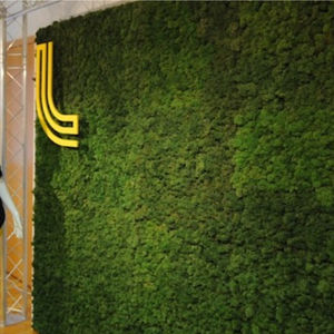 preserved green wall / custom / natural / in lichen
