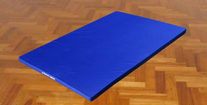 sports hall tatami