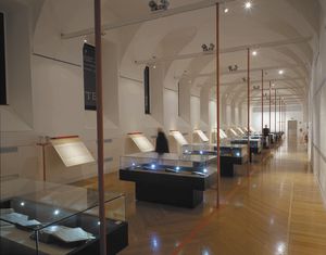 contemporary display case / glass / illuminated / museum