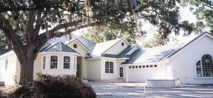 metal shingle / roof