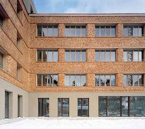 wood shingle / for facade cladding