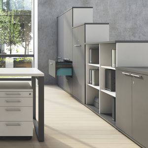 low filing cabinet / tall / metal / with hinged door