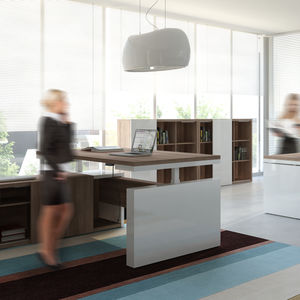 executive desk / contemporary / wooden / angle