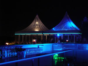 phosphorescent strip light / pathway