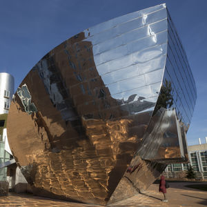 aluminum cladding / titanium / stainless steel / reflective
