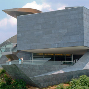 zinc cladding / stainless steel / matte / panel