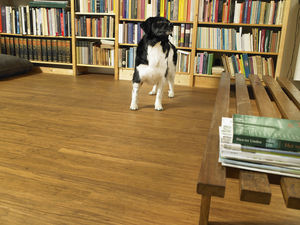 solid parquet floor / floating / glued / bamboo