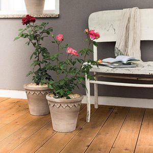 terracotta garden pot / conical / round