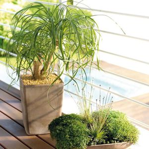terracotta garden pot / conical / square