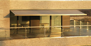box awning / motorized