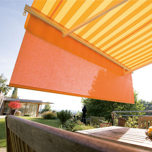 box awning / motorized