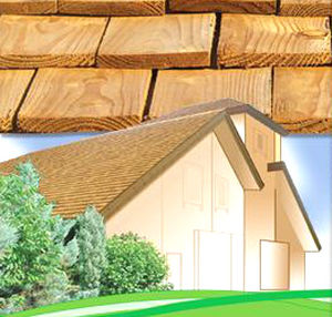 wood shingle / for roofs