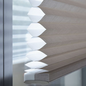 pleated blinds / canvas