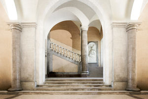 traditional wallpaper / vinyl / baroque / 3D effect