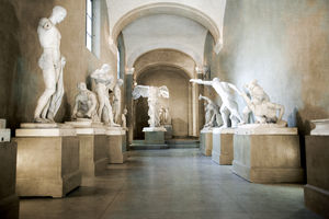 traditional wallpaper / vinyl / baroque / 3D effect