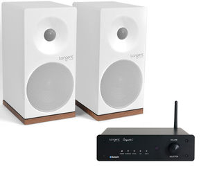 wireless speaker / Bluetooth / walnut