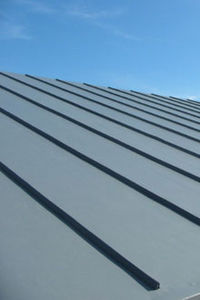 PVC-P waterproofing membrane / flat roof / green roof / roll