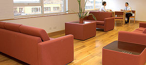solid parquet flooring / glued / oak / varnished