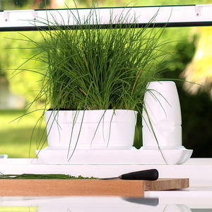 plastic garden pot / round / home
