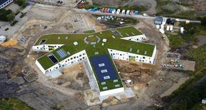 green roof