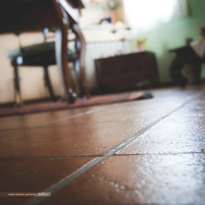 floor tile / terracotta / aged / red