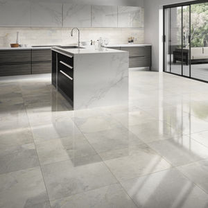 indoor tile / wall / floor / porcelain stoneware
