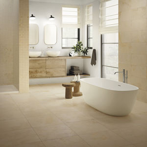 indoor tile / wall / floor / porcelain stoneware