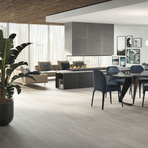 indoor tile / wall / floor / porcelain stoneware
