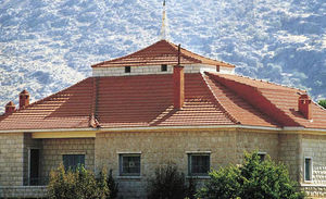 french roof tile / clay